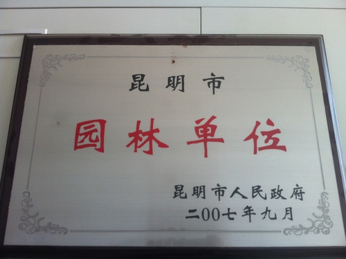 20130416025151875