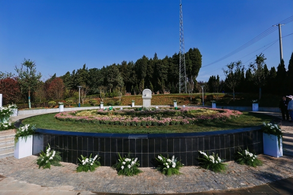 ZYC_4599-opq4456418894